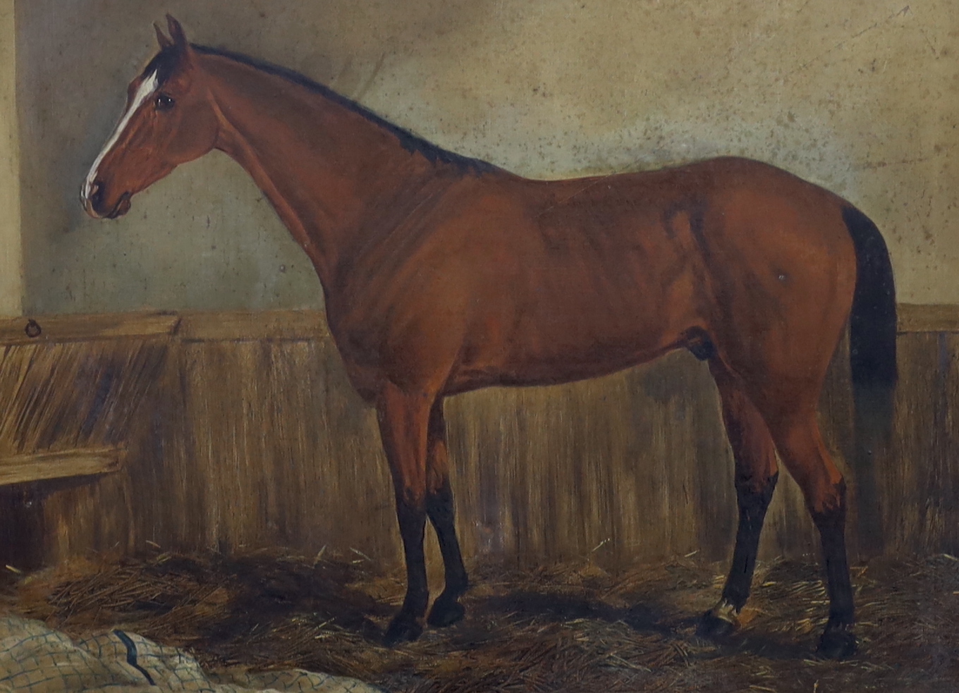 George Ferdinand Fodor (New Zealand, 1859-1930), oil on canvas, Study of a horse, 49 x 36cm